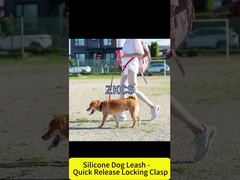 Silicone Dog Leash: Waterproof, Soft, and Long-Lasting